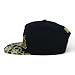 Trendy Apaprel Shop 5 Panel Bear Money Design Embroidered Flatbill Snapback Cap