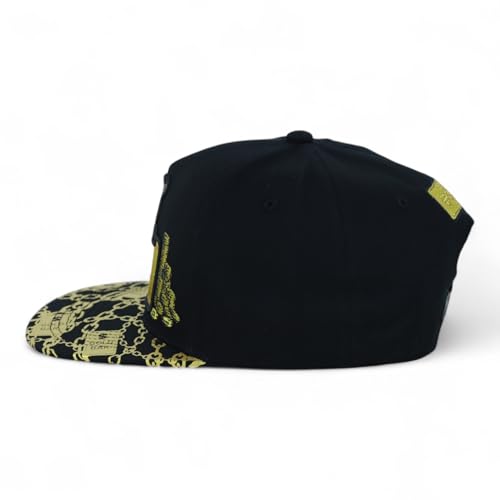 Trendy Apaprel Shop 5 Panel Bear Money Design Embroidered Flatbill Snapback Cap