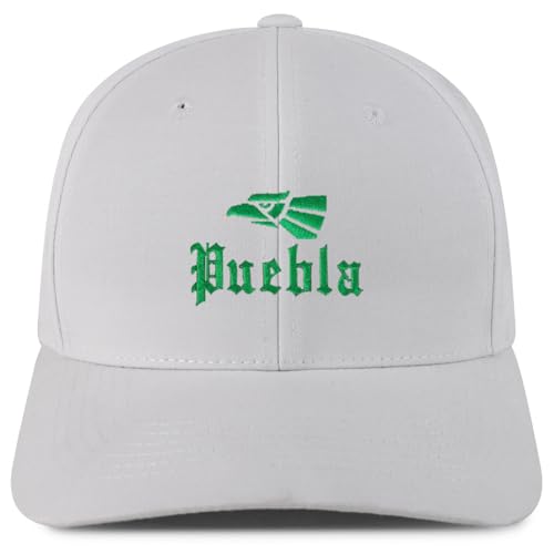 Trendy Apparel Shop Puebla Mexico City Embroidered 6 Panel Snapback Baseball Cap