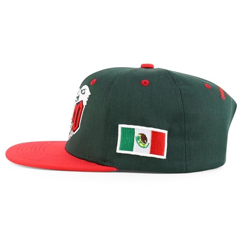 Trendy Apparel Shop 3D Mexico Embroidered Structured Flat Bill Snapback Cap