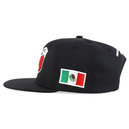 Trendy Apparel Shop 3D Mexico Embroidered Structured Flat Bill Snapback Cap