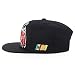 Trendy Apparel Shop Mexico Guadalupe Embroidered Flat Bill Snapback Cap