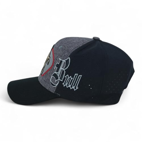 Trendy Apparel Shop Rodeo Design Embroidered Mesh Back Baseball Cap