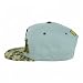 Trendy Apaprel Shop 5 Panel Bear Money Design Embroidered Flatbill Snapback Cap