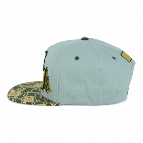 Trendy Apaprel Shop 5 Panel Bear Money Design Embroidered Flatbill Snapback Cap