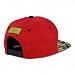 Trendy Apaprel Shop 5 Panel Bear Money Design Embroidered Flatbill Snapback Cap