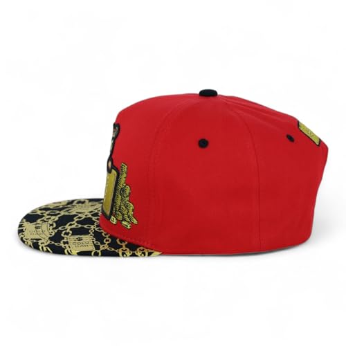 Trendy Apaprel Shop 5 Panel Bear Money Design Embroidered Flatbill Snapback Cap