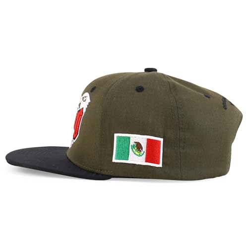 Trendy Apparel Shop 3D Mexico Embroidered Structured Flat Bill Snapback Cap