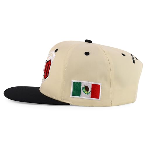 Trendy Apparel Shop 3D Mexico Embroidered Structured Flat Bill Snapback Cap