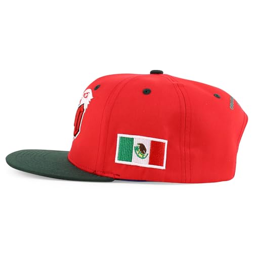 Trendy Apparel Shop 3D Mexico Embroidered Structured Flat Bill Snapback Cap