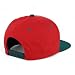 Trendy Apaprel Shop 5 Panel Bear Money Design Embroidered Flatbill Snapback Cap