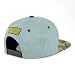 Trendy Apaprel Shop 5 Panel Bear Money Design Embroidered Flatbill Snapback Cap