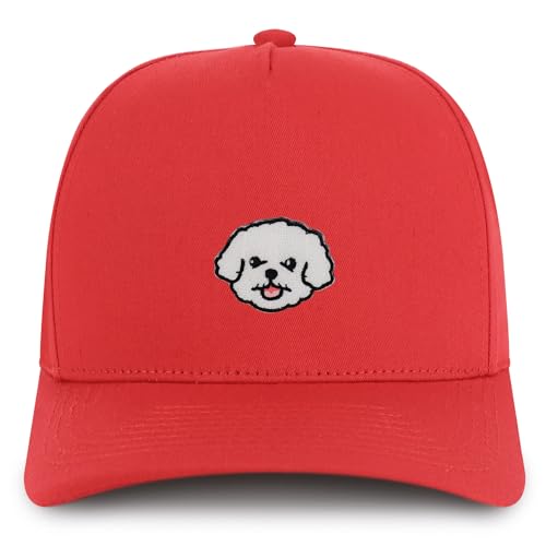 AP0193-NIS-GNV-007-RED