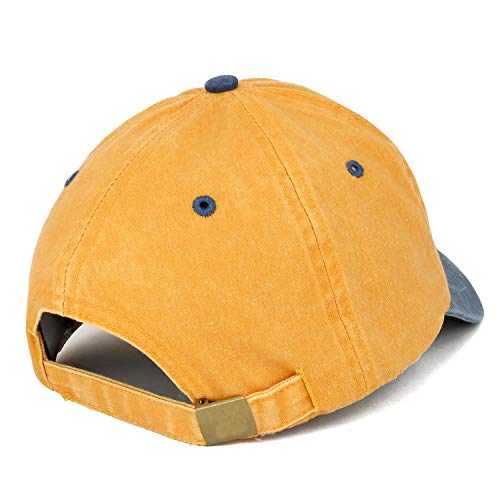 Trendy Apparel Shop Established 1979 Embroidered 45th Birthday Gift Pigment Dyed Washed Cotton Cap