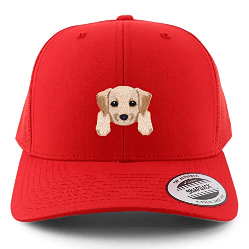 AP0011-FLX-6606-RED