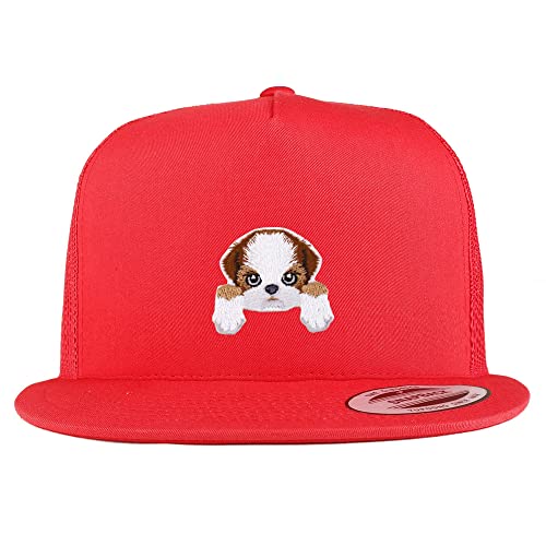 AP0004-FLX-6006-RED