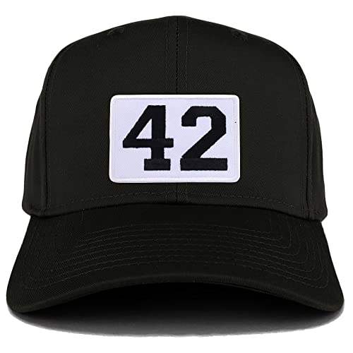 Trendy Apparel Shop Collegiate Number 42 Patch Structured Baseball Cap