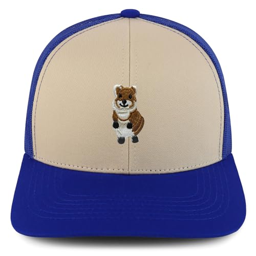 AP0171-NIS-GNV-003M-STN-RYL