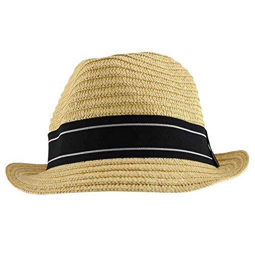 Trendy Apparel Shop Men's Paper Straw Woven Striped Band Stingy Fedora Hat