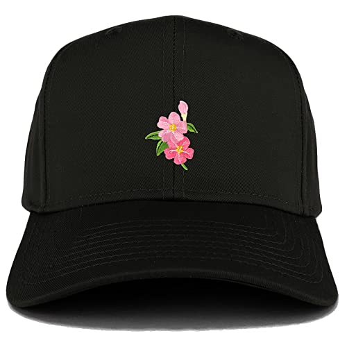 AP0024-27-079-BLK
