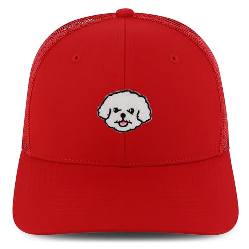 AP0193-NIS-GNV-003M-RED