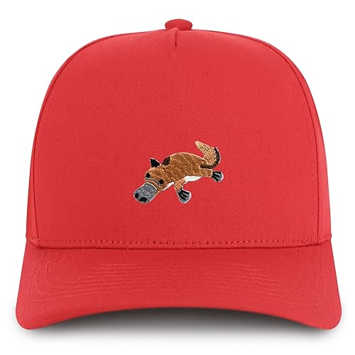 AP0177-NIS-GNV-007-RED