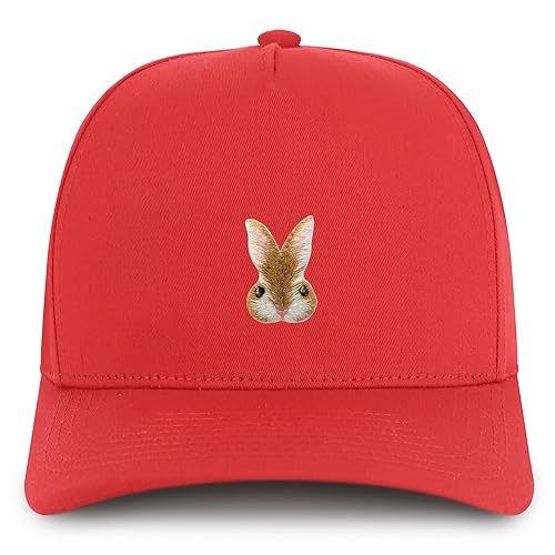 AP0183-NIS-GNV-007-RED