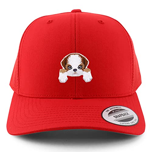 AP0004-FLX-6606-RED