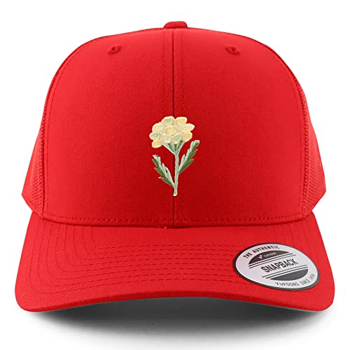 AP0028-FLX-6606-RED