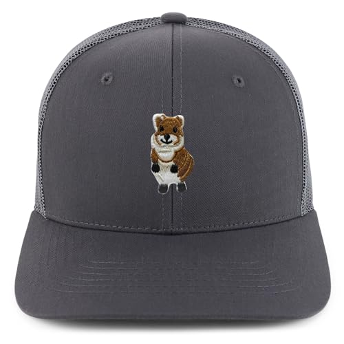 AP0171-NIS-GNV-003M-CHA