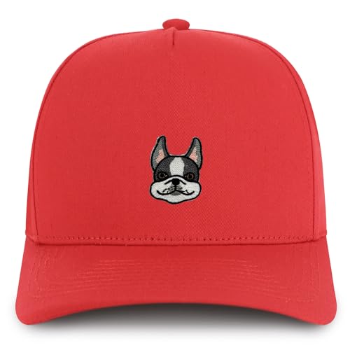 AP0204-NIS-GNV-007-RED