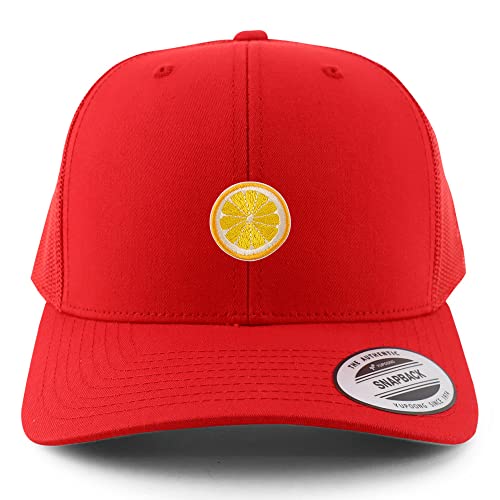 AP0122-FLX-6606-RED