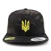 Trendy Apparel Shop Ukrainian National Symbol Embroidered Flatbill Snapback Cap