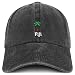 Trendy Apparel Shop Fiji with Palm Tree Embroidered Pigment Dyed Cotton Baseball Cap