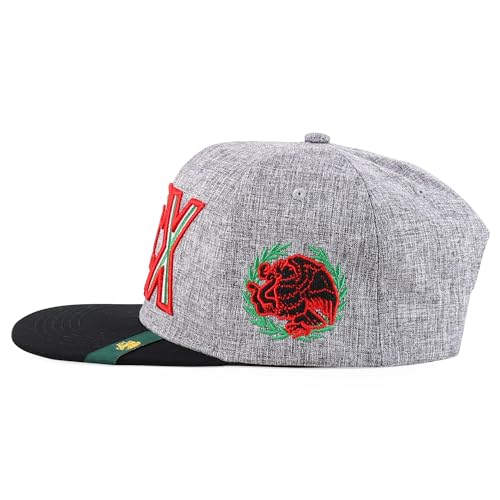Trendy Apparel Shop MEX 3D Embroidered Flatbill Snapback Cap