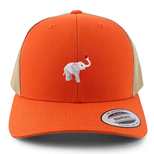 AP0040-FLX-6606-ORG-TAN