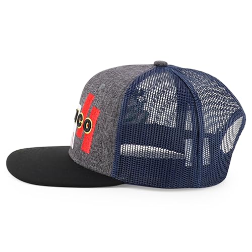 Trendy Apparel Shop 6 Panel Structured 3D Mexico Embroidered Flatbill Snapback Turcker Cap