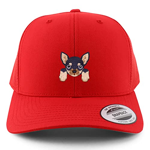 AP0003-FLX-6606-RED