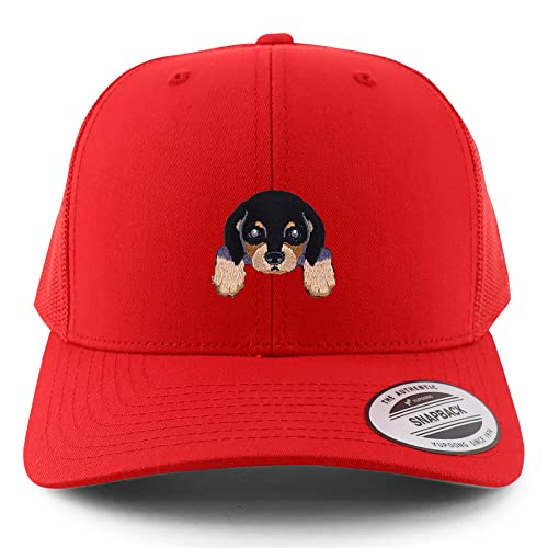 AP0010-FLX-6606-RED