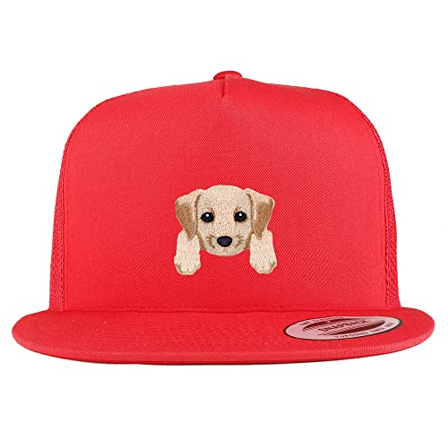 AP0011-FLX-6006-RED