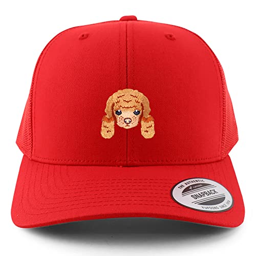 AP0002-FLX-6606-RED