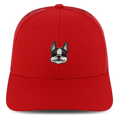 AP0204-NIS-GNV-003M-RED