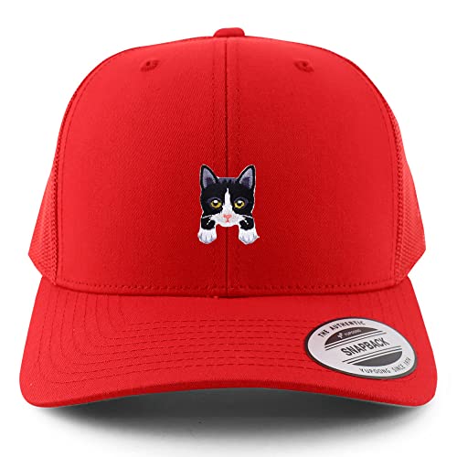AP0068-FLX-6606-RED