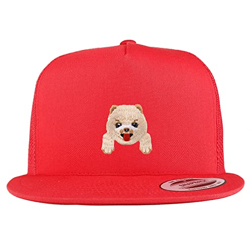 AP0020-FLX-6006-RED