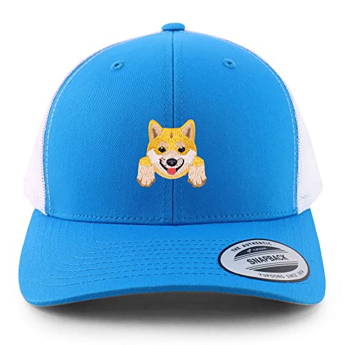 AP0006-FLX-6606-TEL-WHT