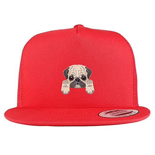 AP0013-FLX-6006-RED