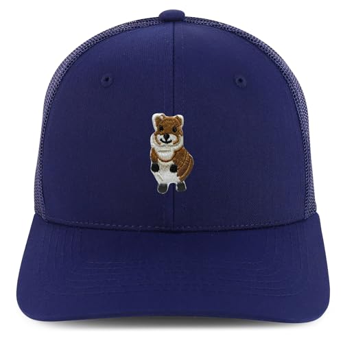 AP0171-NIS-GNV-003M-NVY