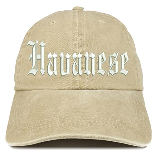 Trendy Apparel Shop Old English Havanese Washed Pigment Dyed Baseball Cap
