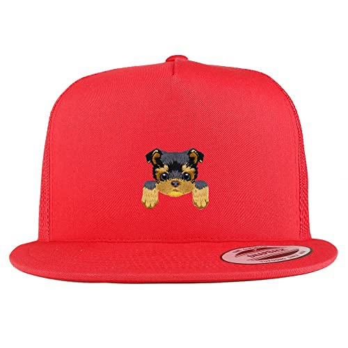 AP0016-FLX-6006-RED
