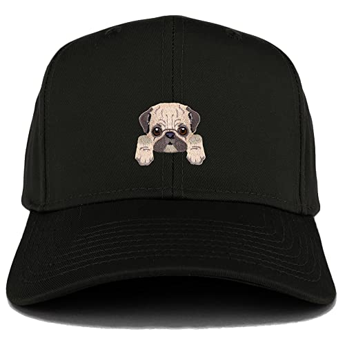 AP0013-27-079-BLK